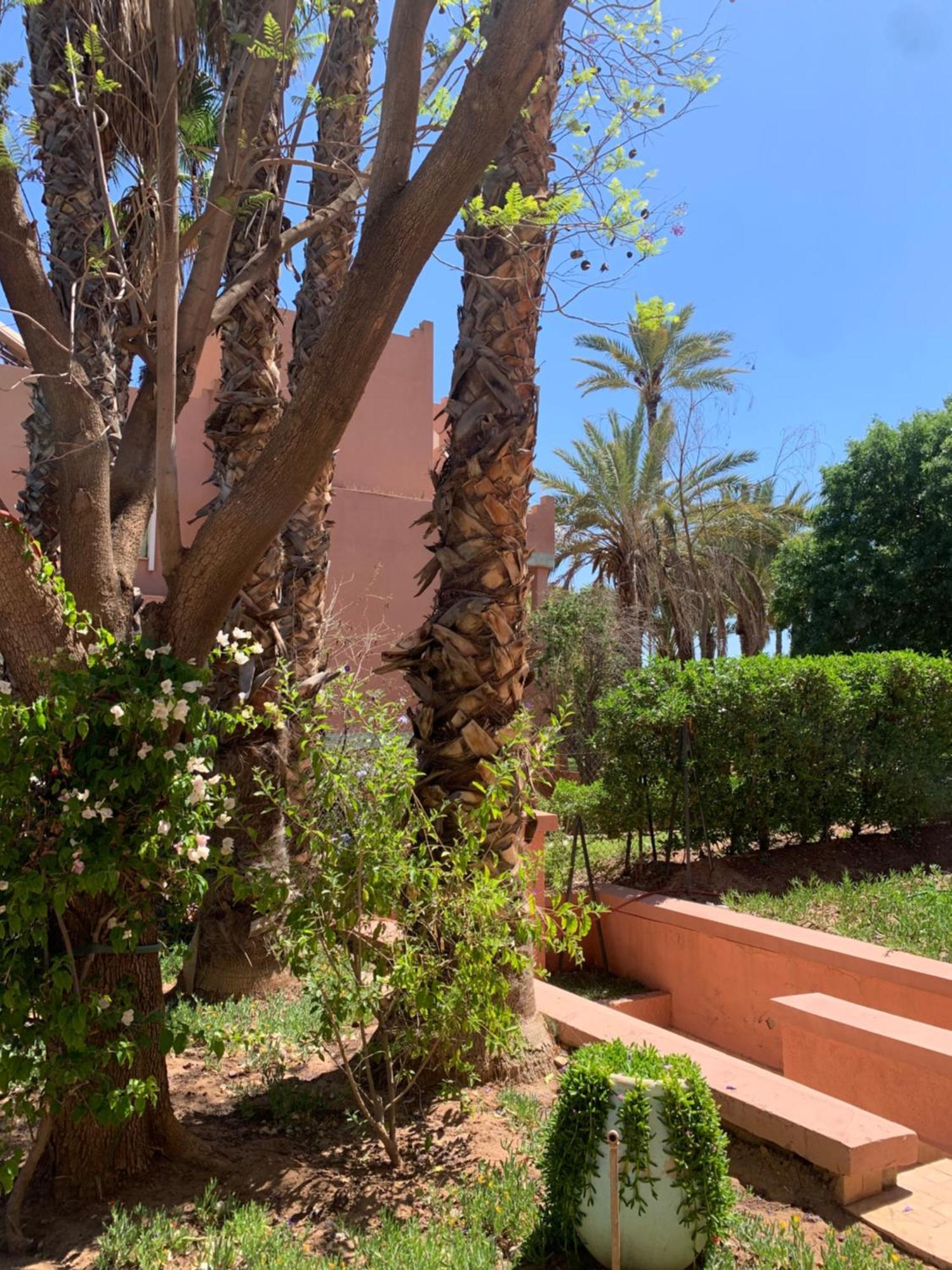 Villa Avec Piscine Privatisee A La Palmeraie Marrakesh Eksteriør bilde