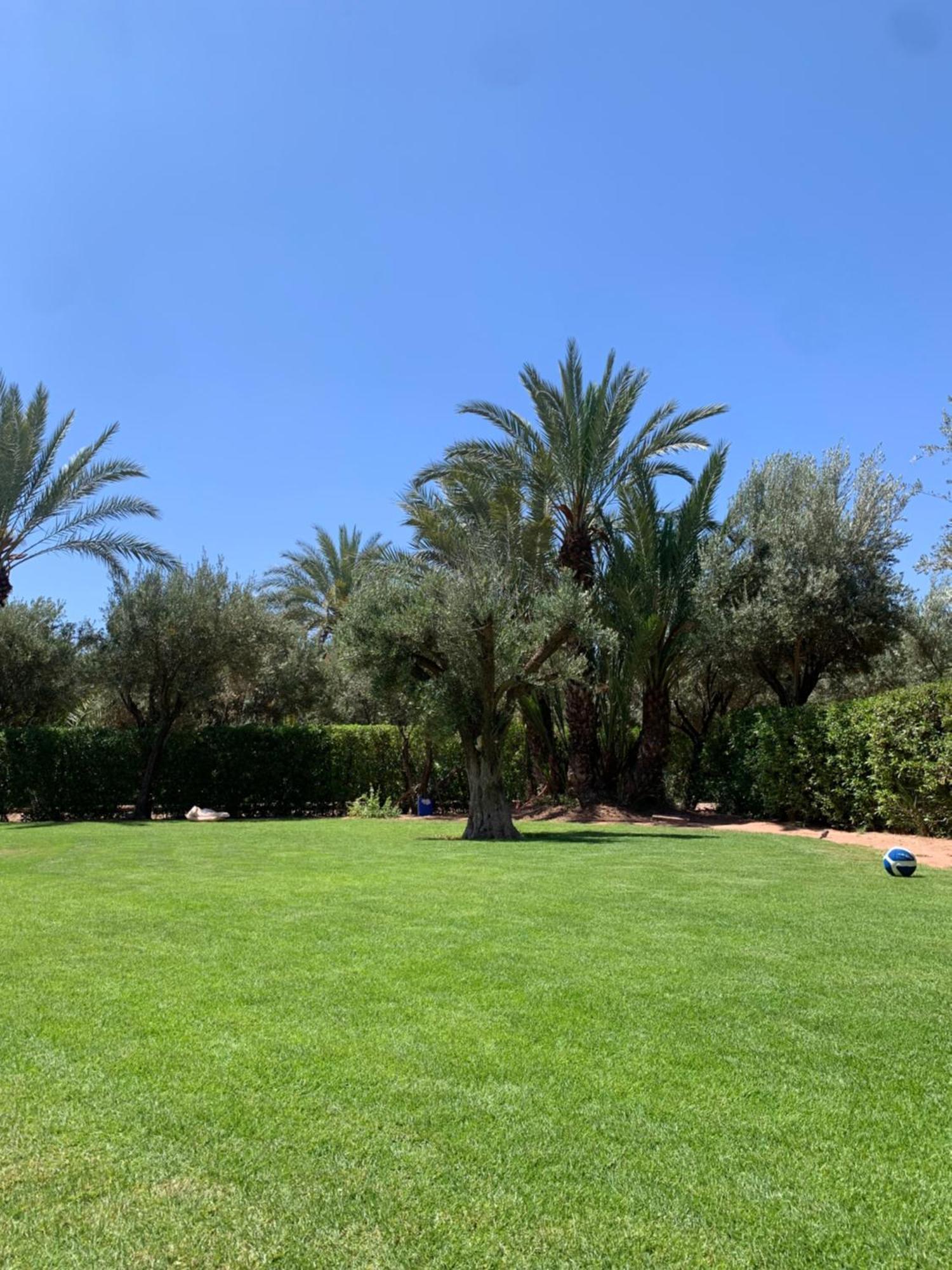 Villa Avec Piscine Privatisee A La Palmeraie Marrakesh Eksteriør bilde