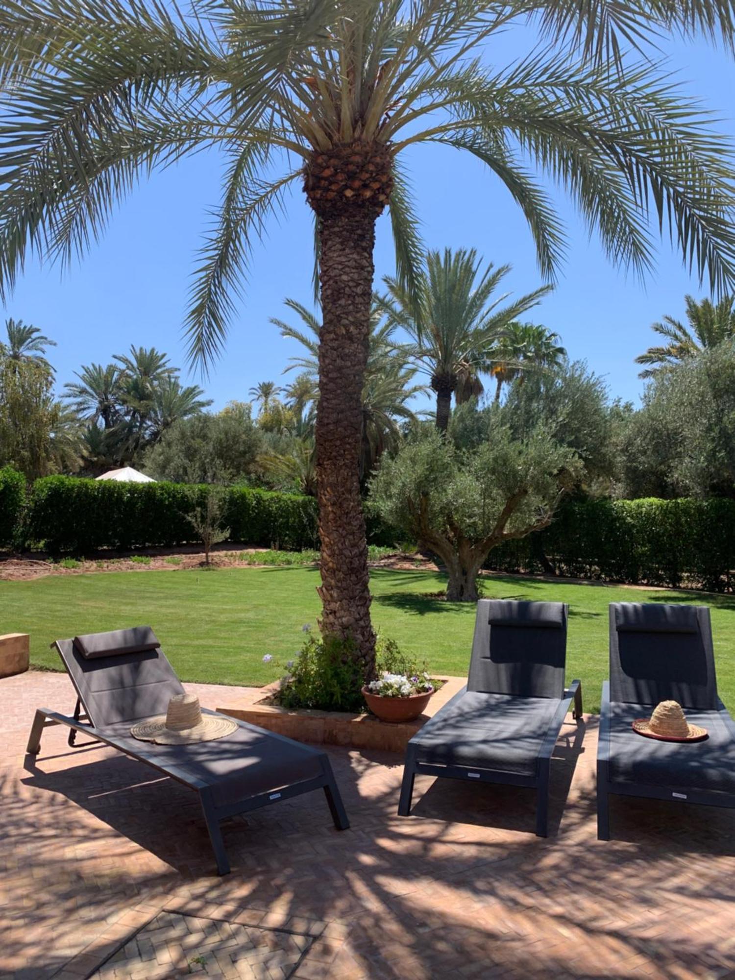 Villa Avec Piscine Privatisee A La Palmeraie Marrakesh Eksteriør bilde