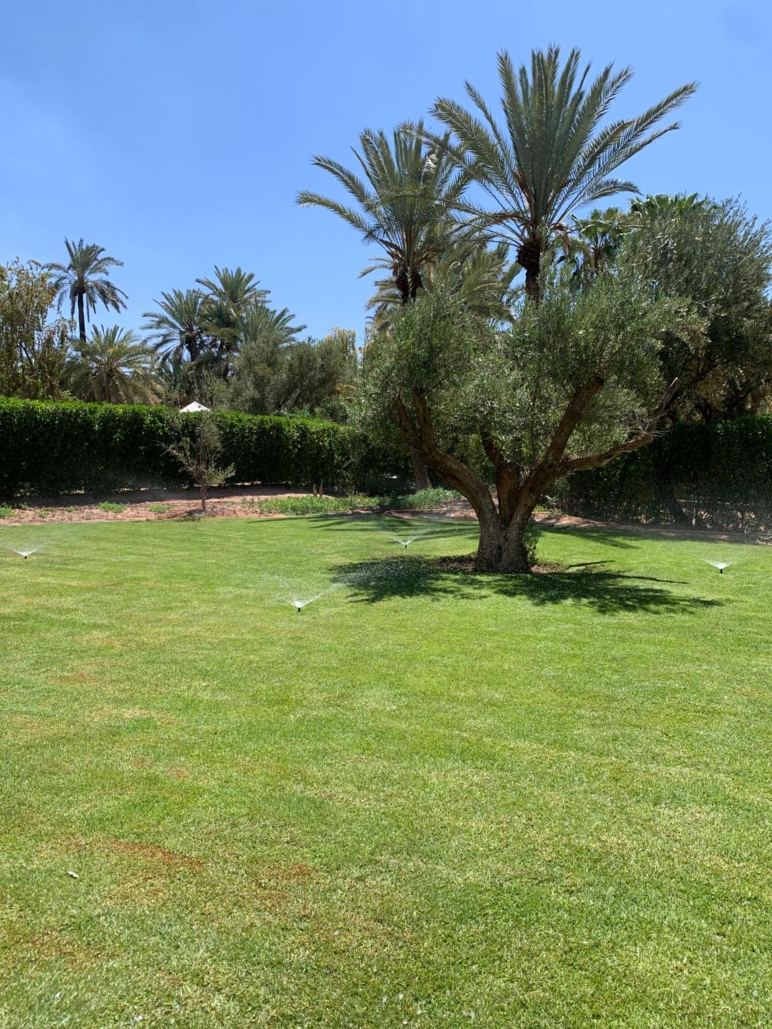 Villa Avec Piscine Privatisee A La Palmeraie Marrakesh Eksteriør bilde