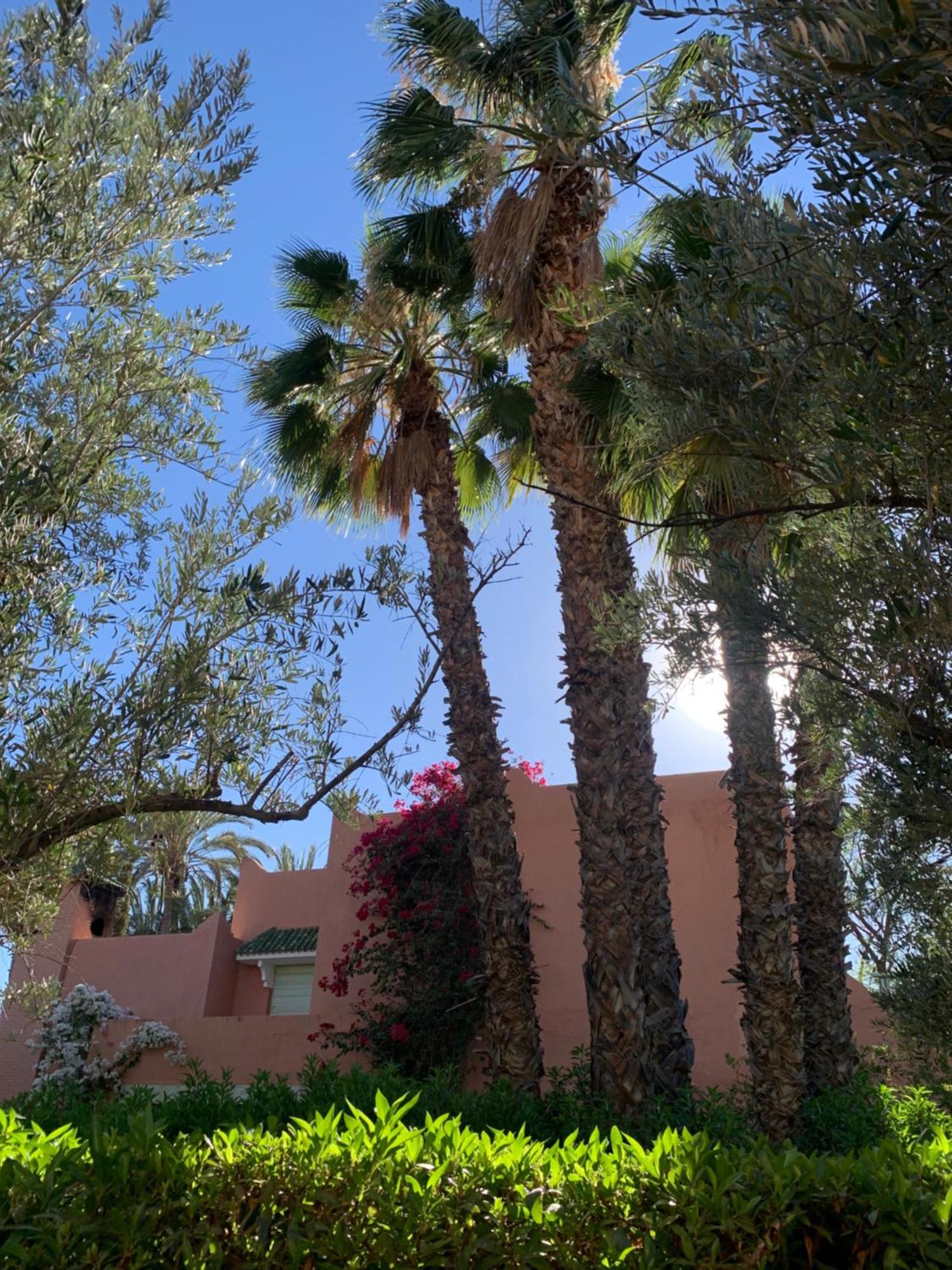 Villa Avec Piscine Privatisee A La Palmeraie Marrakesh Eksteriør bilde