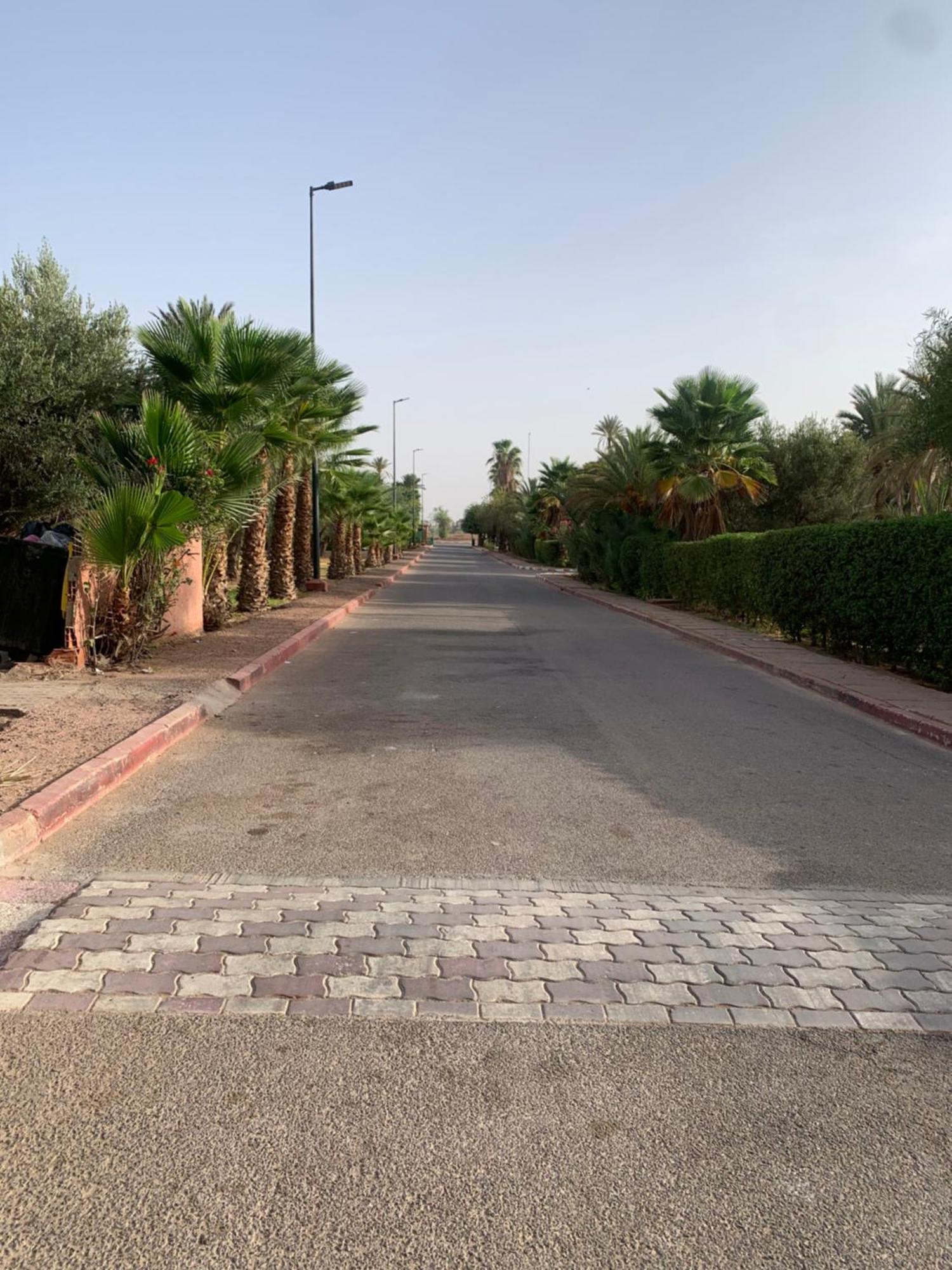 Villa Avec Piscine Privatisee A La Palmeraie Marrakesh Eksteriør bilde